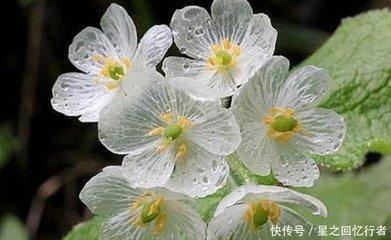 教你几招看相识一点福气也没有的女人