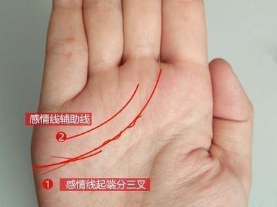 手纹与命运的关系你了解多少 通过掌纹看命运好坏