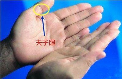 手纹乱的人命不好吗 手纹乱是什么意思