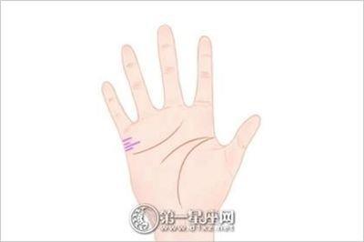 手纹如何看你的命运好坏呢 手中的手纹怎么看好