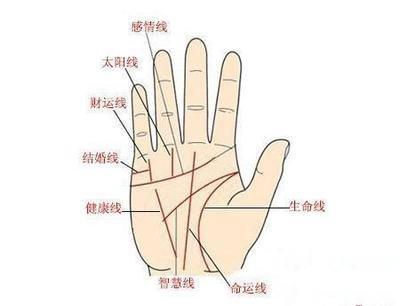 手纹智慧线断开什么意思 智慧线断开手相好不好