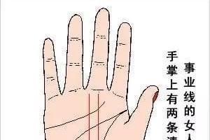 教你如何看事业线 看你手中事业线知道事业运势