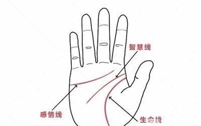 教你如何看感情线 你手中的感情线好吗
