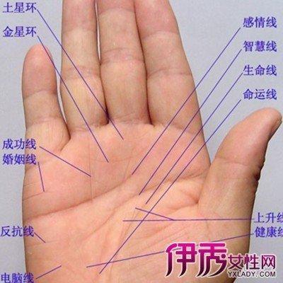 教你如何解读手相，通过手相来洞察个人的命运