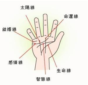 教你如何解读手相，通过手相来洞察个人的命运
