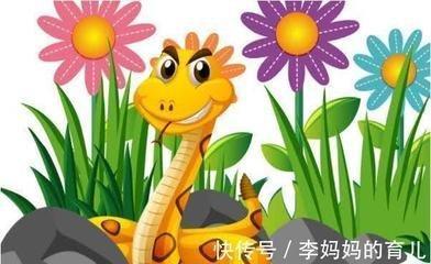 1965年属蛇人55岁发生什么事情 运势好吗