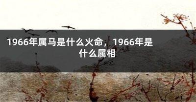 1966年属相：1966年属什么生肖