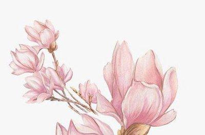 命运坎坷的几个生肖女 希望你不是其中之一 命运坎坷的几个生肖女 希望你不是其中之一