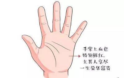 命运好的人拥有什么样的手相事事顺利