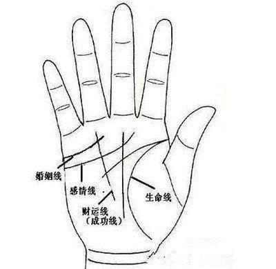 命运好的人拥有什么样的手相事事顺利