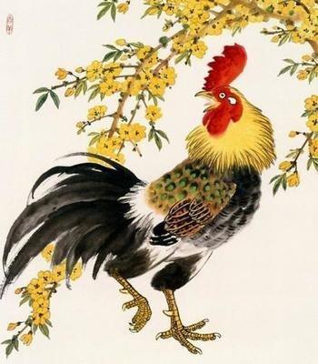 1969年出生的属鸡人2025年运势如何