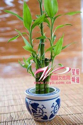 办公室霉运风水的7种急救法(图文)