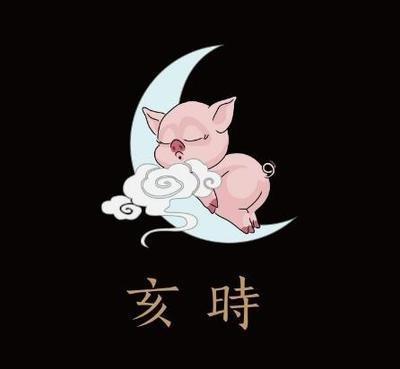 亥时出生的人命运解析，亥时出生的人好不好