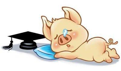 1971年猪会二婚吗 71年女配什么属相 1971年猪会二婚吗 71年女配什么属相