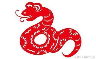 亥时是什么生肖，十二生肖中的亥时是什么时候