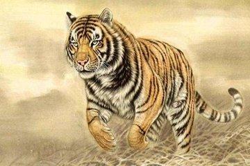 2025年属虎是什么命五行属什么