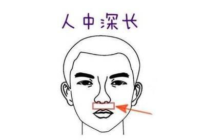 人中在面相中代表什么  看人中面相了解运势发展