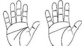 到底断掌是什么意思 断掌的人命好吗