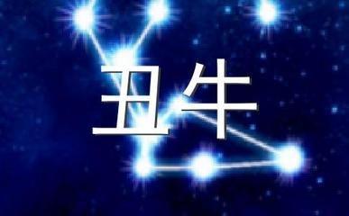 刻苦耐劳的动物猜生肖 最刻苦努力的是哪几个生肖