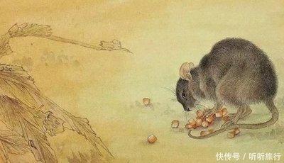 2025年11月容易招小人且诸事不顺的生肖