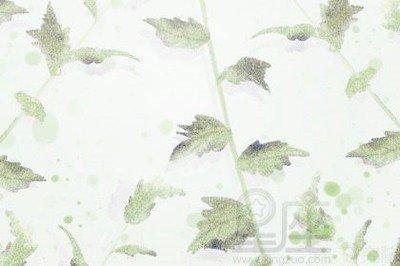 前怕狼后怕虎做事优柔寡断的三大生肖有谁