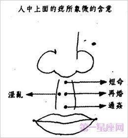 人中短面相详解 面相分析人中短的人命运