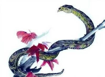 2025年属蛇是什么命,2025年出生人的命运