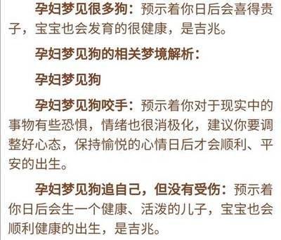 做梦梦见有人和我讨论周公解梦准不准