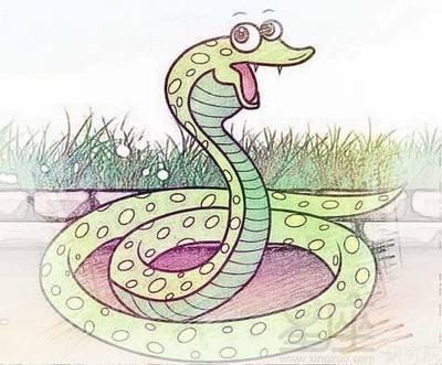 2025年属蛇的虚岁是多少岁运势如何 2025年属蛇的虚岁是多少岁运势如何