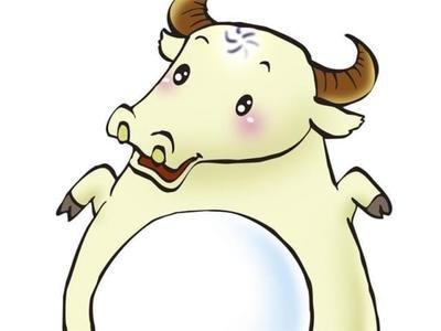 1973年属什么 分析73年出生属牛人的命运