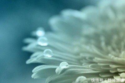 1973年属什么的 73年出生的属牛人会有好运吗