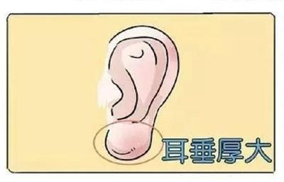 人有没有福气看耳朵就能看出来是真的吗