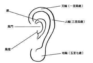 人有这样的耳朵代表有福  快来看看你有没有吧
