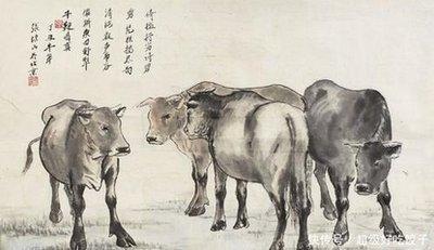 1973年属牛是什么命,1973年出生人的命运