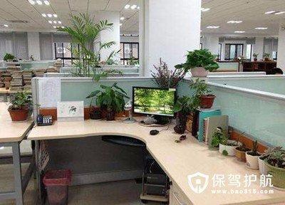 办公室不能摆的东西 这些物品会影响职场