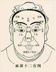 人的面相与命运 命好的人面相有啥特征