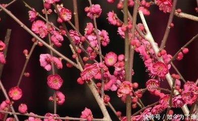 人缘最好的星座 落难时也会得到许多帮助