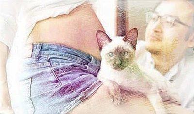 人际关系出现变化：解读孕妇梦到猫和狗