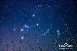 人际关系最好的是哪一个星座乐于助人