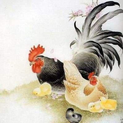2025年属鸡人的全年运势 感情中会是怎样的