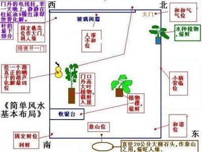 办公室养龟八卦风水  办公室风水学