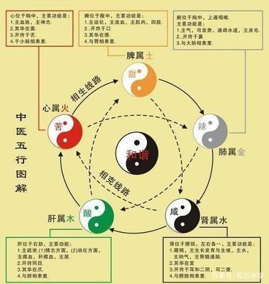 五行中缺什么就补什么吗 五行应该怎么补