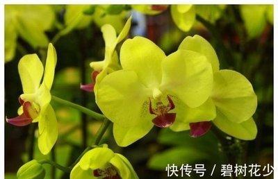 天降鸿运 2025年中工作稳定生活无忧的三大生肖