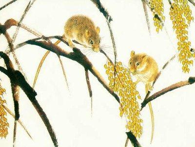 1972年属鼠是什么命 2025年哪方面运势最好 1972年属鼠是什么命 2025年哪方面运势最好