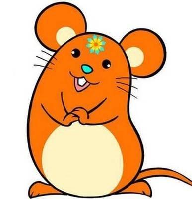 1972年属鼠是什么命 2025年哪方面运势最好 1972年属鼠是什么命 2025年哪方面运势最好