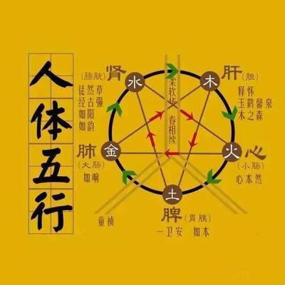 五行和健康的关系，缺什么对身体不好