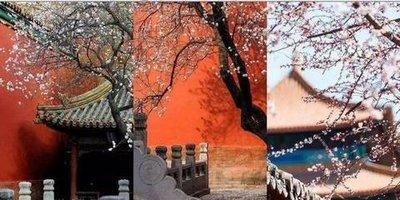 五行多土代表什么颜色(五行里土多代表什么意思)