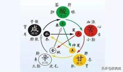 五行属木开什么颜色车(五行属木的字都有什么字)