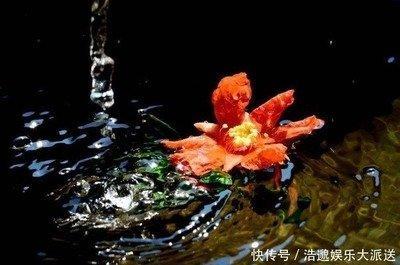 1980年8月21日晚上19-21点出生性格、运势和命运
