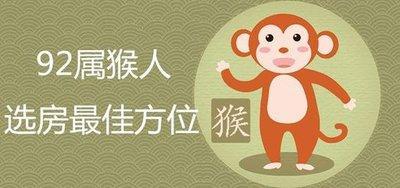 五行属水如何选房(如何看五行属什么)